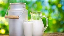 КЗК бие тревога: българското мляко се топи с 25%, вносът скочи с 43%