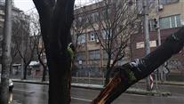 Паднали клони и дървета и неработещи светофари във Варна