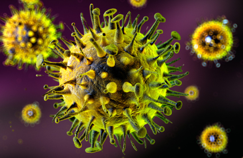 Пролетни вируси изместват грипа: Как да се предпазим от новите заплахи?