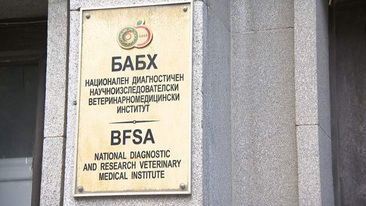 Четирикратно надвишени пестициди в аржентински слънчоглед, пристигнал в България