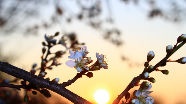 Слънчево и топло време днес, вятърът остава силен в някои райони
