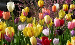 Слънчево и все по-топло ще бъде до средата на новата седмица