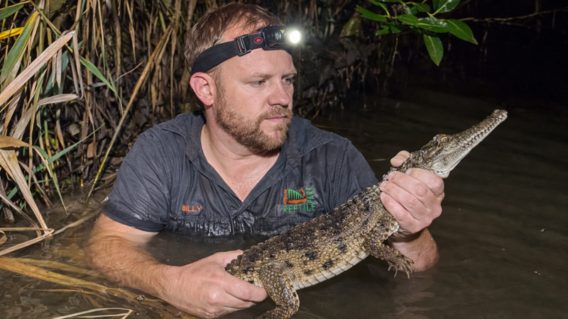 Невероятна находка: крокодил се появи на 2000 километра от дома си