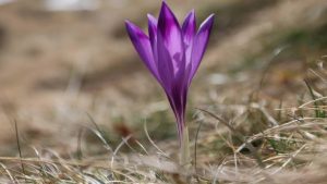 Облачно време, силен североизточен вятър на изток и слаби валежи на места в страната