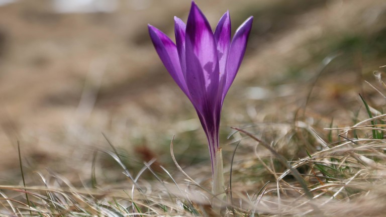 Облачно време, силен североизточен вятър на изток и слаби валежи на места в страната