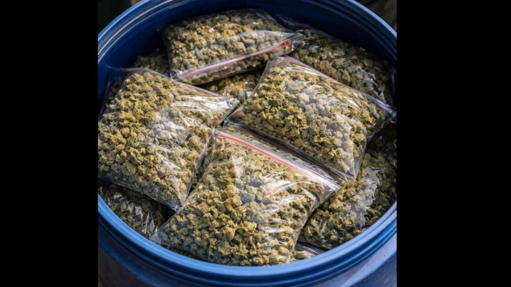 Три наркослучая за ден в Бургаско: задържани са жена в Свети Влас и двама мъже в Созопол и „Меден рудник“