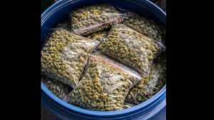 Три наркослучая за ден в Бургаско: задържани са жена в Свети Влас и двама мъже в Созопол и „Меден рудник“