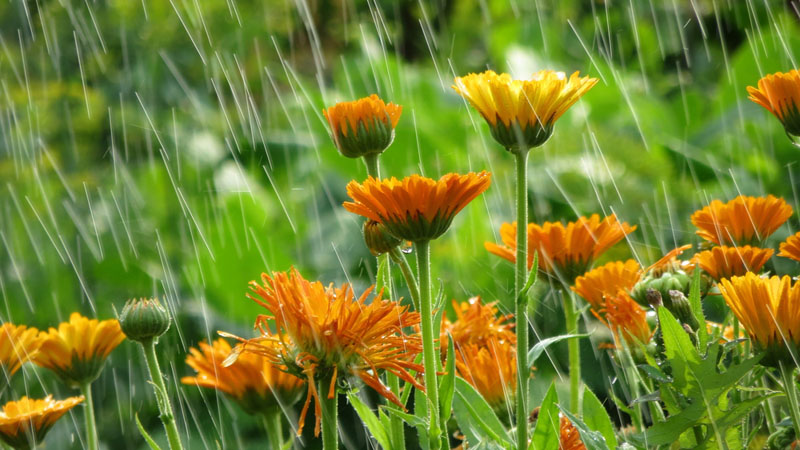 Дъждовен и по-хладен април, валежи се очакват и около Великден