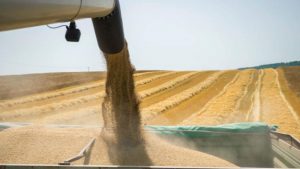 Геополитическото напрежение тласка цените на зърното нагоре