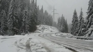 Пътищата през "Пампорово" и "Превала" са заснежени