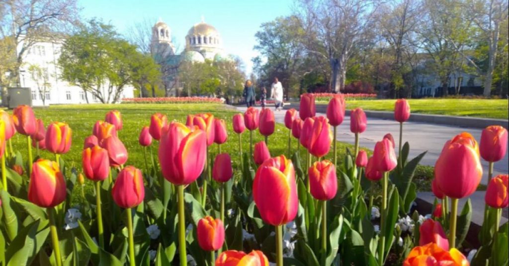 Слънце и умерен вятър в събота