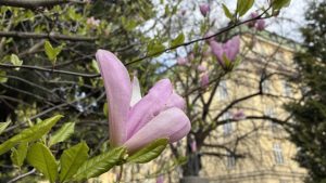 Седмицата започва със слънце