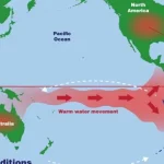 Световната метеорологична организация: Ел Ниньо може да се развие още от май
