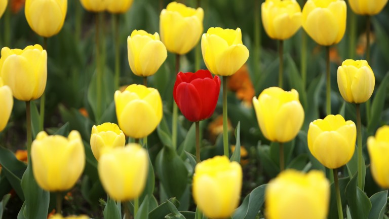 Слънце и дъжд се редуват в четвъртък