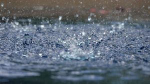 Валежи от дъжд днес и утре