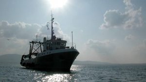 Скъпото гориво потапя рибарския бизнес