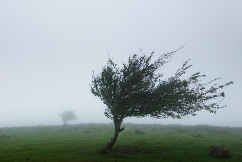 Жълт код за силен вятър в цяла България, идва рязко застудяване
