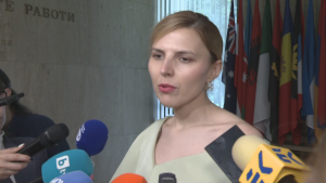 Велислава Петрова: Единственият път напред за РСМ е изпълнението на европейските ангажименти