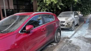 ЕС осъди палежа пред българското посолство в Скопие