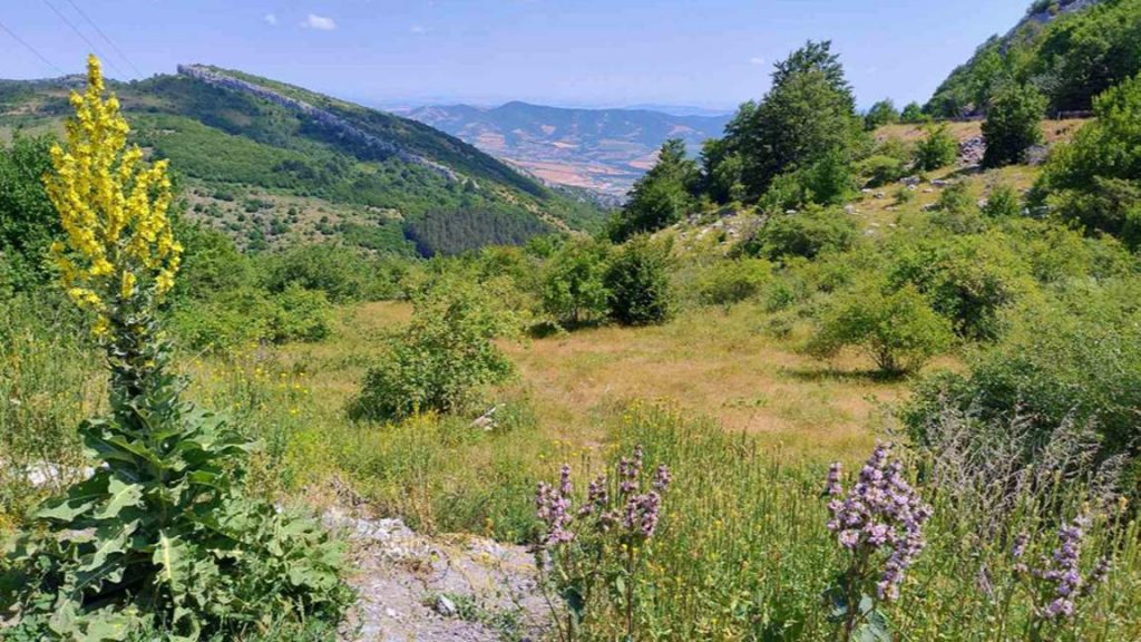 Днес ще е слънчево, следобед са възможни кратки валежи