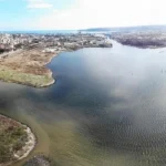 Фекално замърсяване е причинило масовия мор на риба във Варненското езеро