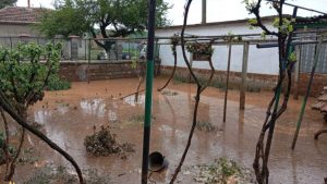 Порой наводни къщи и главната улица във Войводино