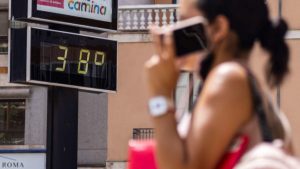 Заради жегите: СЗО отчете над 1 300 смъртни случая над обичайното