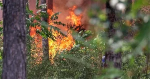 Пожарникари и паркови служители борят гасенето на труднодостъпен пожар в резерват „Баюви дупки-Джинджирица“