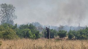 Пожар в лозята край Асеновград затвори част от пътя Пловдив - Кърджали