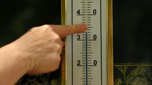 Близо 9800 души са починали вследствие на горещините в Германия от началото на годината