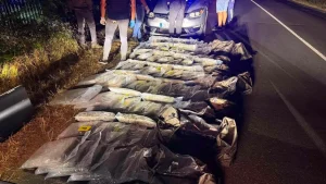 Първи случай у нас: Разкриха схема за трафик на над 100 кг марихуана с подводен дрон към Турция