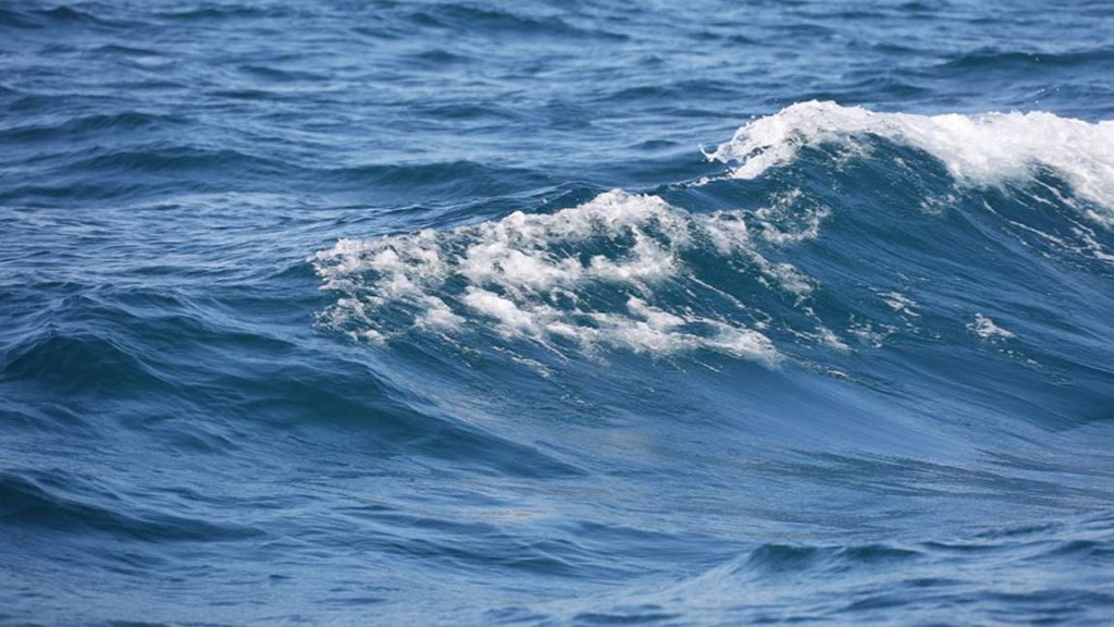 Товарен кораб потъна в румънски води след пожар, разследват евентуална атака