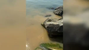 Акт за ВиК – Бургас след изтичане на непречистени фекални води край плажа в Свети Влас