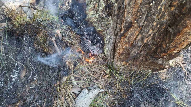 Нови огнища на пожар заплашват къщи в Сливенско