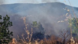 Части от Западна България са задимени заради огромен пожар в Сърбия, активираха BG-Alert