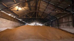Украйна иска да изнася жито с влакове през Молдова с 50% отстъпка