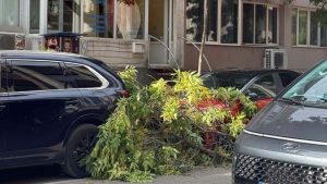 Клон се стовари на сантиметри от майка с малко дете в центъра на Варна