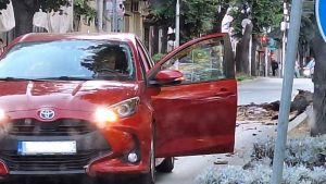 Голям клон падна на булевард „Цар Освободител“ във Варна