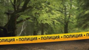 Мъж бе смъртоносно прострелян по време на лов над село Ковачевица