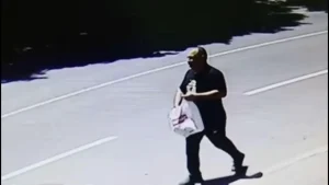 Подсъдимият за палежа на български дипломатически автомобили в Скопие призна вината си