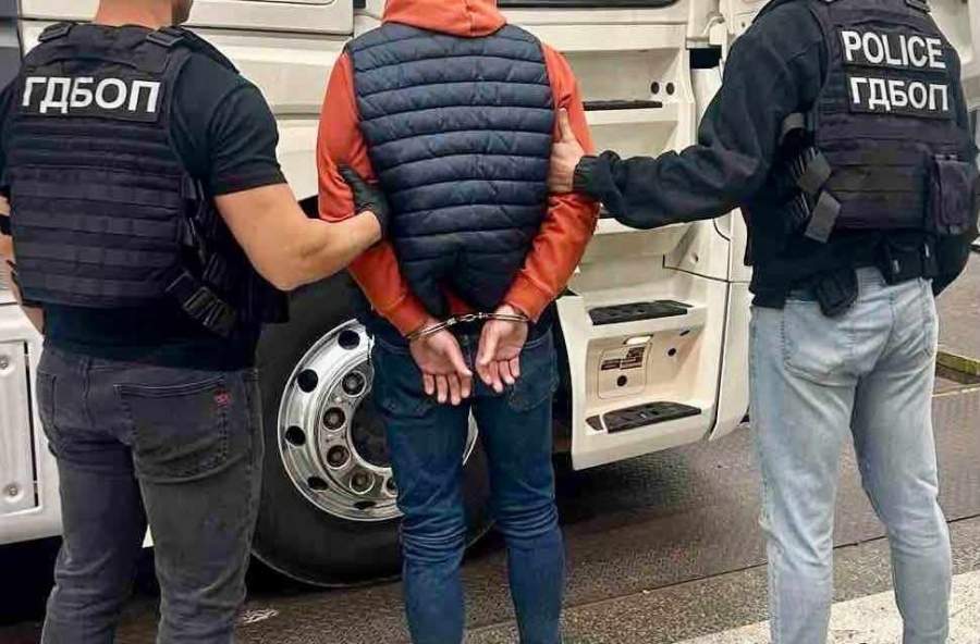 ГДБОП разкри мащабен наркоканал, укрит в камиони за месо в Ловеч