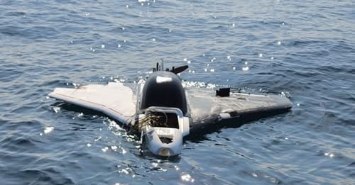 ВМС унищожиха дрон край Синеморец