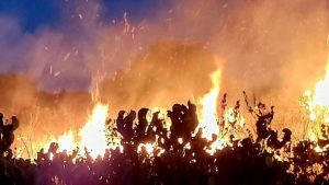 Остава в сила частичното бедствено положение заради пожара в Ивайловград