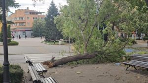 Клон падна върху мъж в Сливен, той е приет в болница с политравма